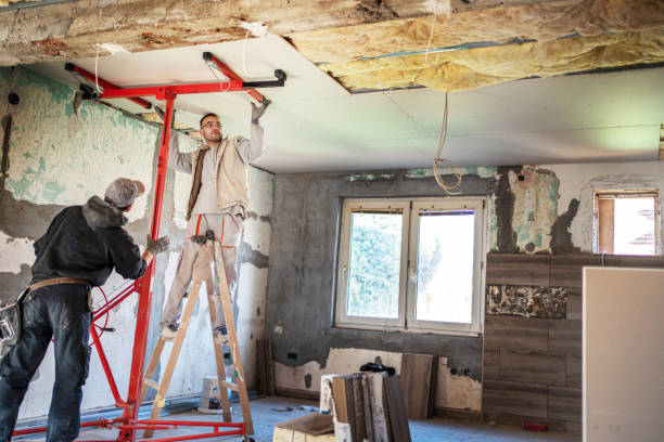 Best Insulation Removal Services  in Lindenhurst, NY