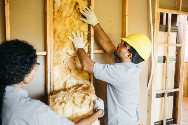 Best Insulation Repair Services  in Lindenhurst, NY